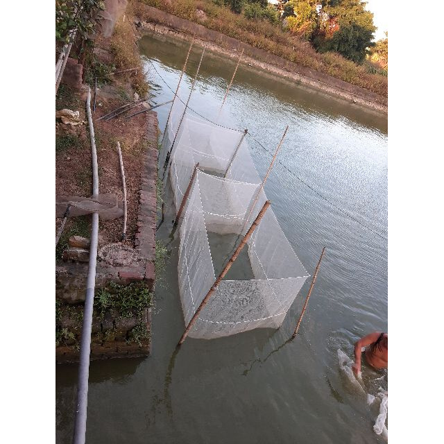 Tráng nuôi ốc nhồi - ếch - cá loại 2x1x1,3 sản phẩm tốt 121