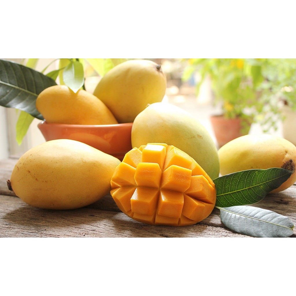 Xoài Sấy Dẻo Nông Lâm Food (Mango Dried) - 100% Từ Thiên Nhiên