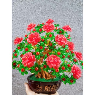 Cây kim tiền tài lộc cao 30cm 16 nhánh hoa