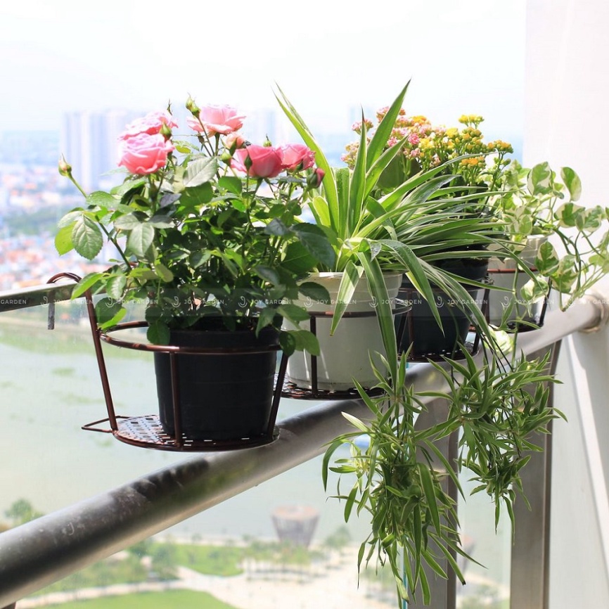 Chậu cây có móc - Giỏ sắt treo hoa cây cảnh decor trang trí ban công lan can hàng rào tiện lợi