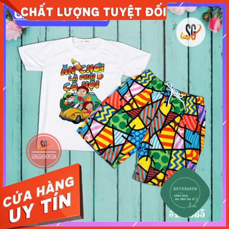 Bộ Đồ Đi Biển Nhóm Cao Cấp - Đủ Size Nguyên Bộ (DDB85) Áo thun giá sỉ