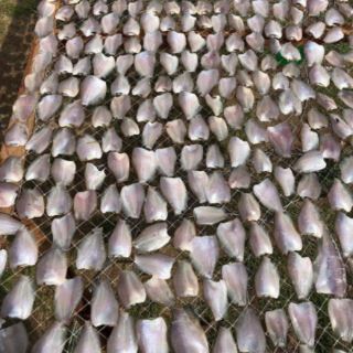 KHÔ CÁ SẶC BƯỚM