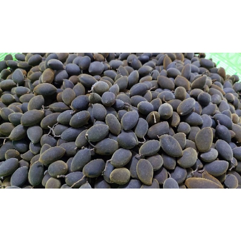 Trái Say Rừng- Tặng Kèm Muối Tôm