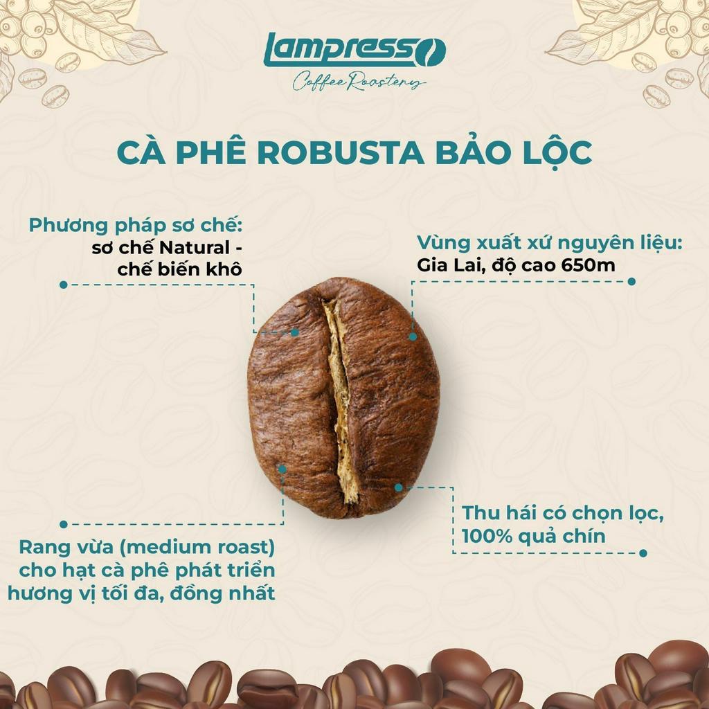 Cà phê Robusta Bảo Lộc túi 500gr đậm đà, đắng dịu - Lampresso Coffee