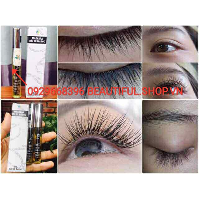 👍[100% Chính Hãng] Dài mi Maroc_Kích Lông Mi Dài, Đẹp, Đảm Bảo An Toàn | BigBuy360 - bigbuy360.vn