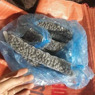 Phân dê đóng túi lưới 20k/10 túi