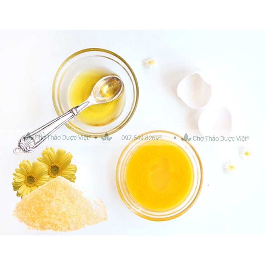 Bột hoa cúc vàng nguyên chất 100g (An thần, giảm căng thẳng, thanh lọc cơ thể) - Chợ Thảo Dược Việt