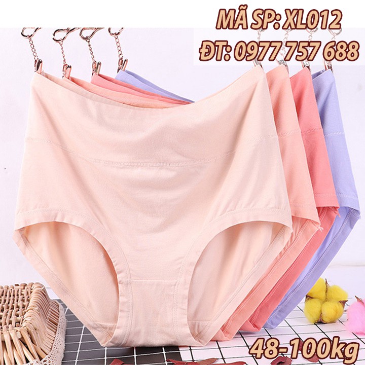 Quần lót cotton bigsize lớn giá sỉ vừa 70kg 100kg đồ lót người mập XL012