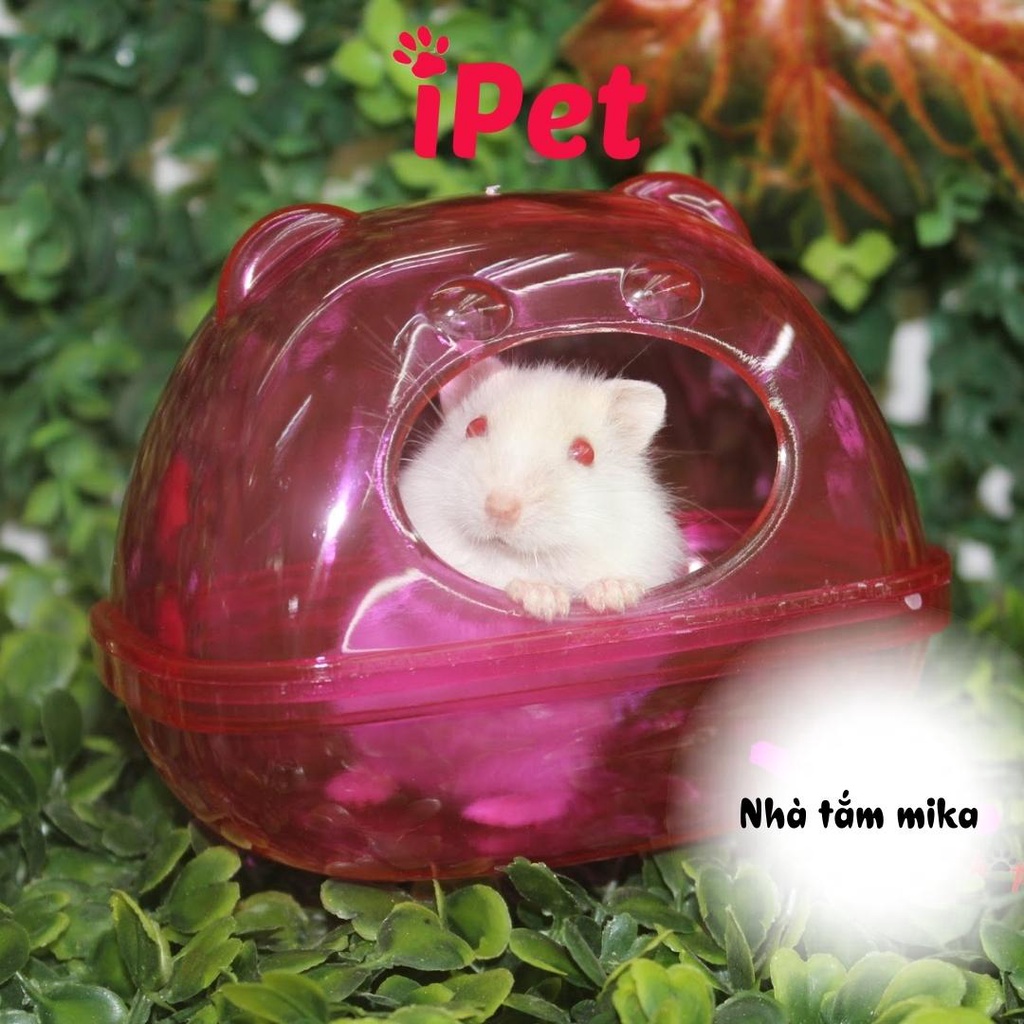 Nhà Tắm Ếch Mika Trong Suốt Dành Cho Hamster - iPet Shop