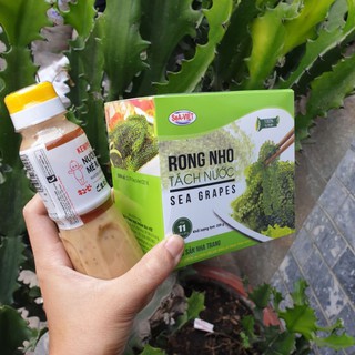 🔥Combo 1 hộp rong nho Sea Viet + 1 chai sốt mè rang 🔥