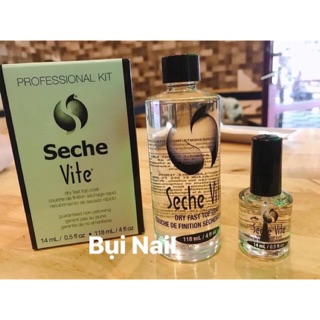 Bóng seche