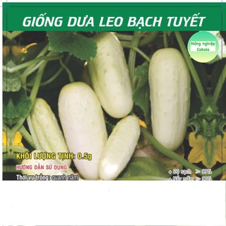 Hạt giống dưa leo bạch tuyết 0.5gr