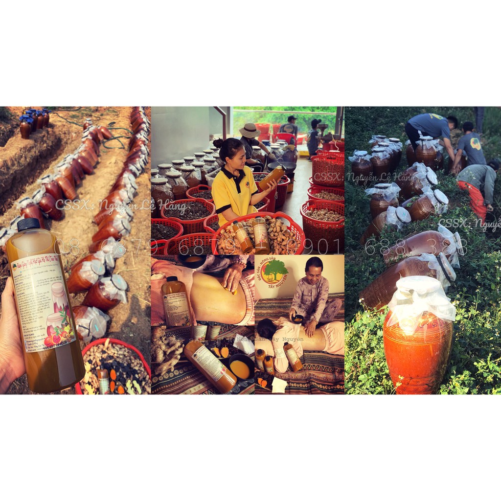 [Mã 2712FMCGSALE giảm 8% đơn 500K] GỪNG NGHỆ HẠT GẤC HẠ THỔ (TOÀN THÂN)