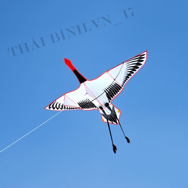 DIỀU SẾU ĐẦU ĐỎ - DIỀU HỒNG HẠC 2 MÉT