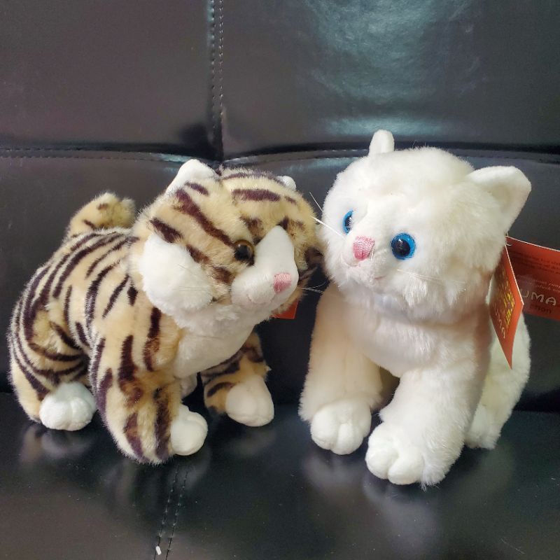 Gấu Bông Mèo Cưng Kitten Dễ Thương Búp Bê Thú Nhồi Bông  Quà Sinh Nhật MIRA-GB28022