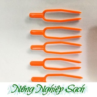 Combo 10 Que ghim cố định thân lan