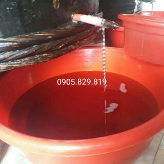 Nước mắm nhĩ - phú yên