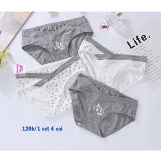 Combo 4 Quần Lót Bầu Cotton cao cấp