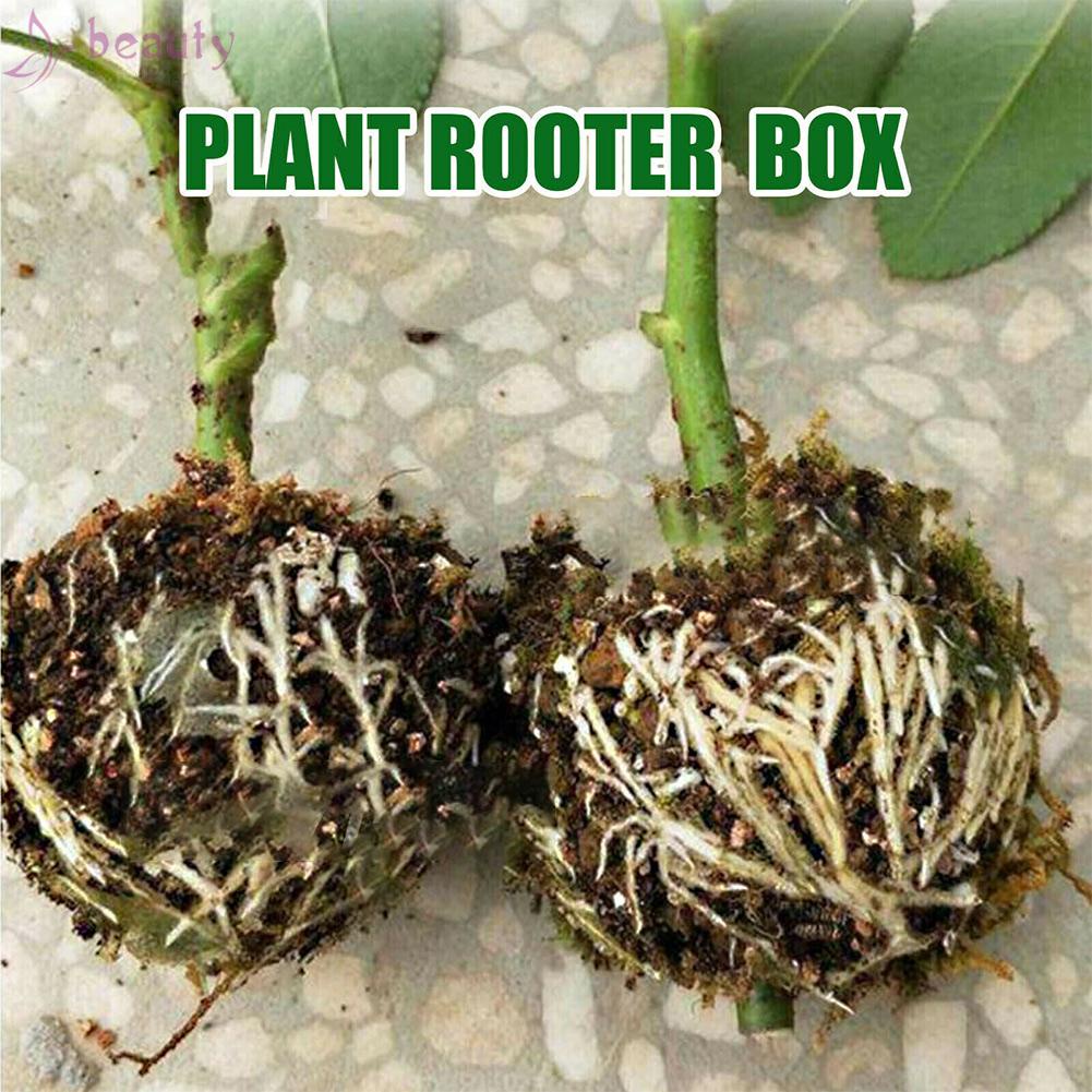 Set 3 Hộp Chăm Sóc Cây Trồng Bền Bỉ Tiện Dụng