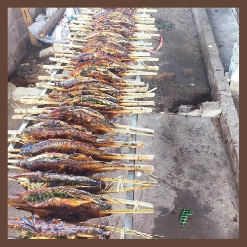 Cá Nướng Tây Bắc 5,5gr-6gr/con