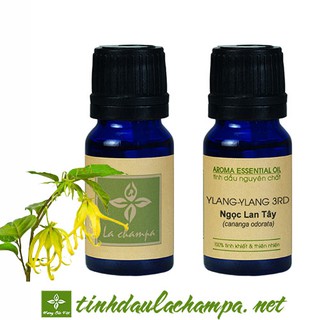 Tinh dầu hoa Hoàng lan (Ngọc lan tây) nguyên chất Lachampa - giúp tinh thần bay bổng, phấn chấn