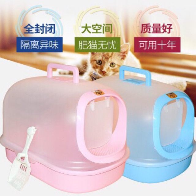 Nhà vệ sinh mèo