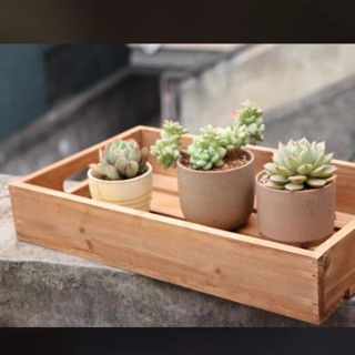 Khay để đồ gỗ Quế thơm