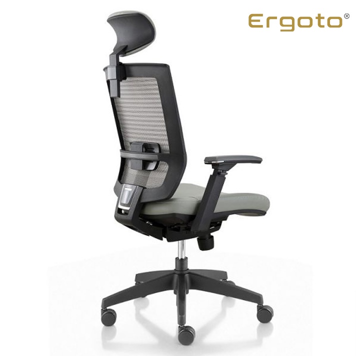 Ghế Văn Phòng Cao Cấp Ergoto Ergonomic office chair Velar X04H-NL