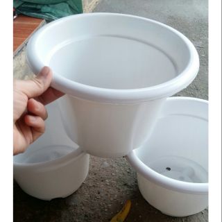 Chậu tròn trắng SIÊU Đẹp rộng 24cm cao 16cm