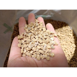 Đá masato 2-4mm- Đá giữ màu cho sen đá