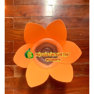 Hoa đăng 6 cánh đơn sắc