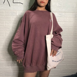 Áo sưeater champion