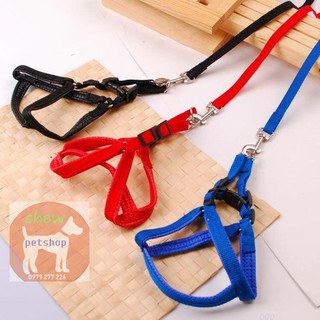 Bộ yếm đệm tam sắc cho chó_Phụ kiện chó mèo Chew petshop