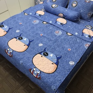 1 sét vỏ chị thảo lê