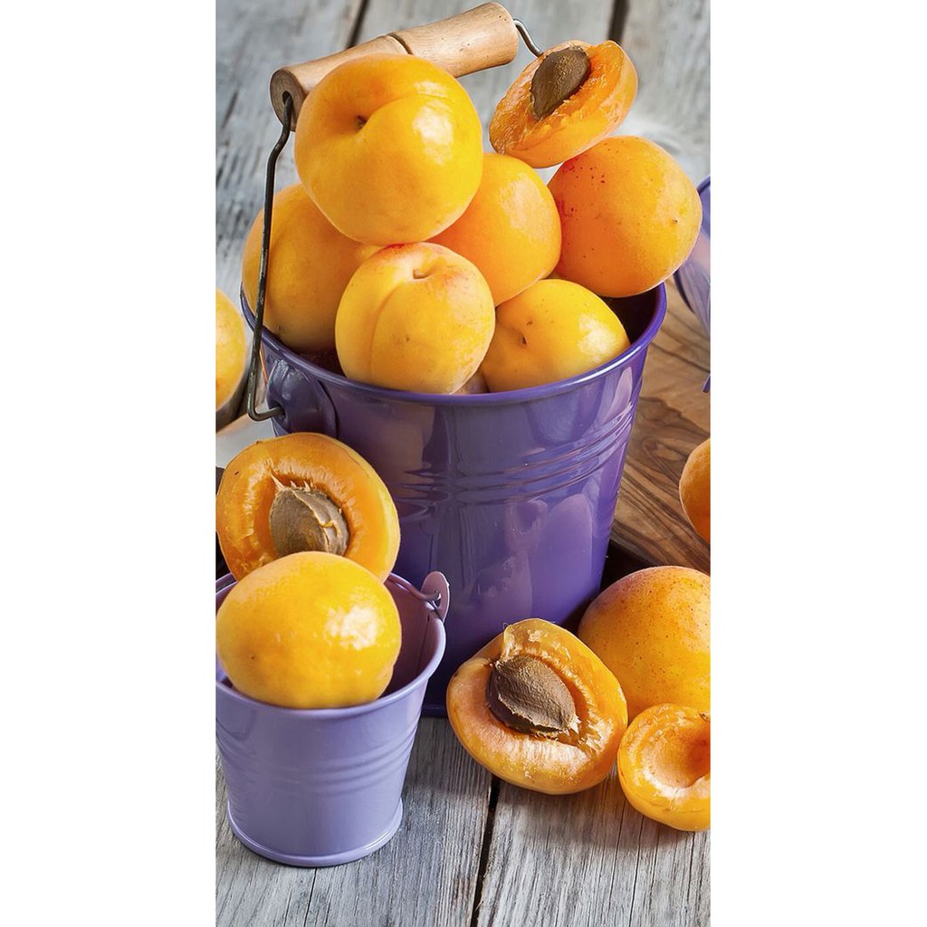 CÂY MẬN VÀNG MIRABELLE