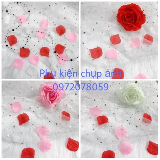 Phụ kiện chụp ảnh set hoa Hồng trang trí