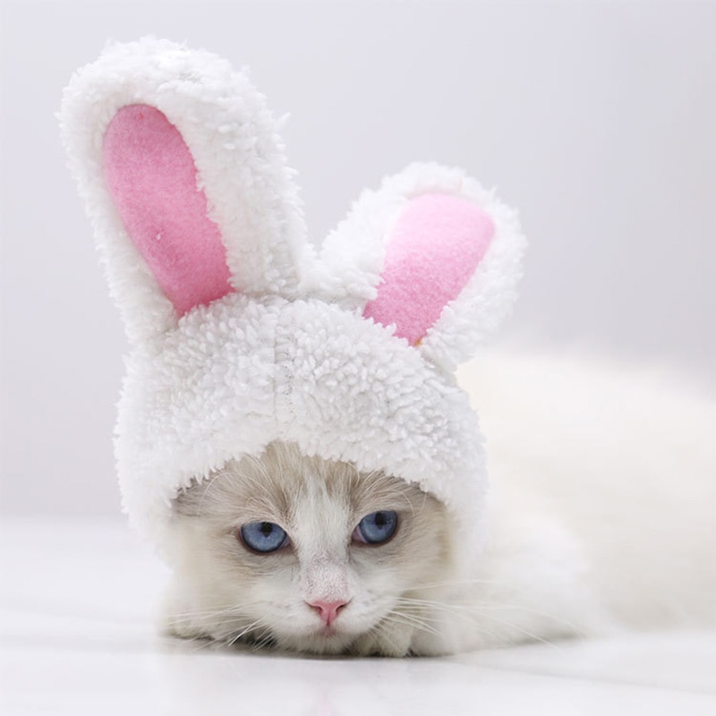 Mũ tai thỏ dễ thương dành cho thú cưng