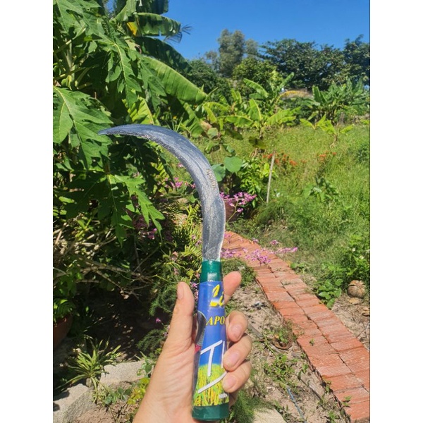 SET 3 LIỀM APOLEX SIÊU BÉN