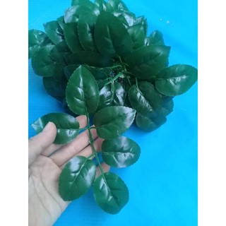 100GR LÁ HOA HỒNG
