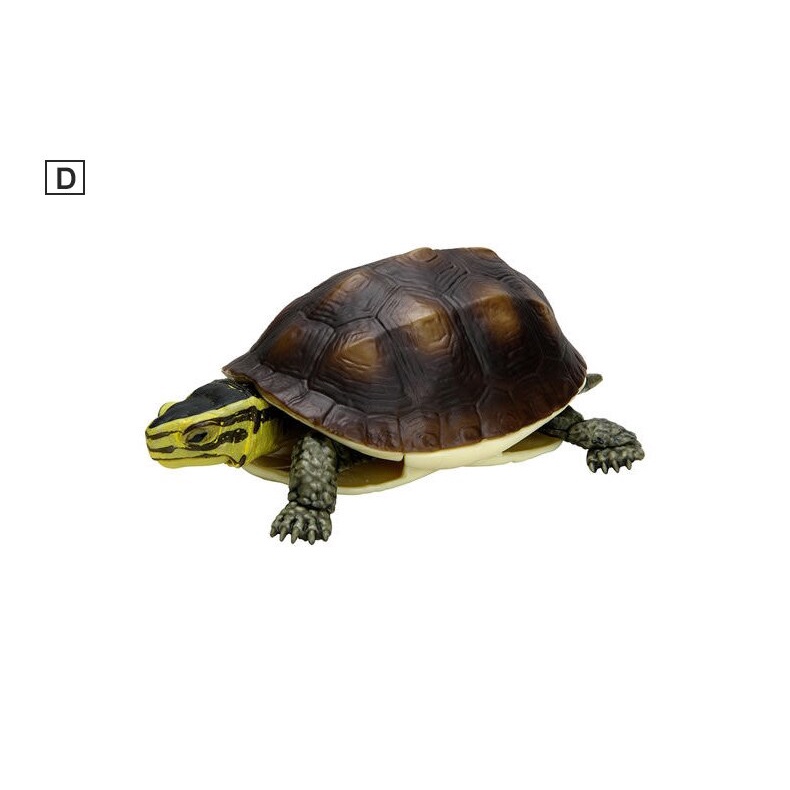 Mô hình trứng Gashapon rùa cạn - rùa biển - BANDAI