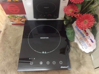 💁🏻 BẾP TỪ ĐƠN STEBA IK60E
