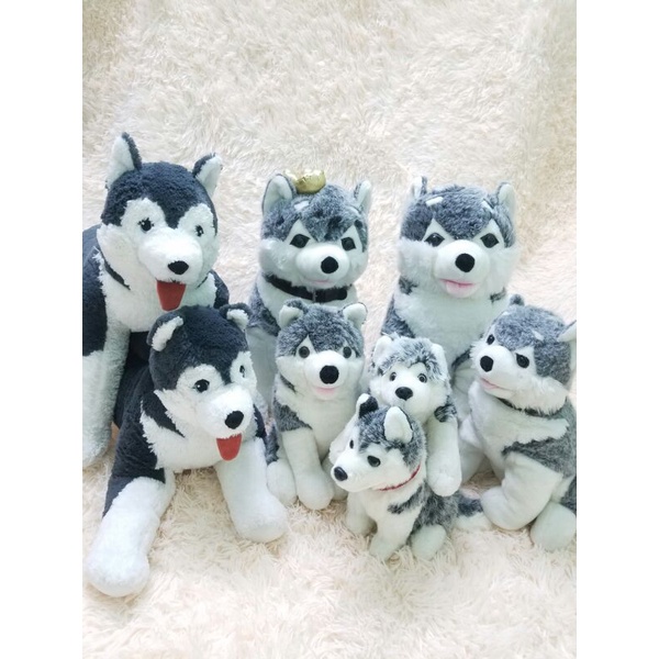 gấu bông con chó Husky Alaska giống thật