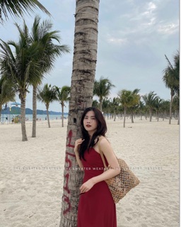 Váy maxi hai dây hở lưng (tặng kèm dán ngực)