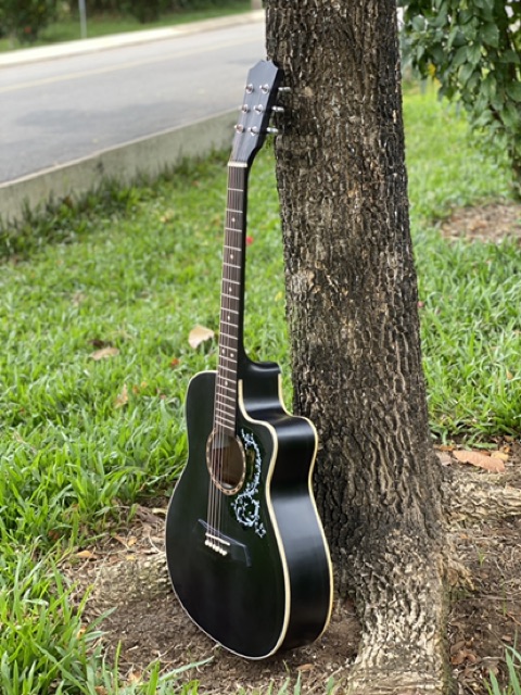 Đàn guitar acoustic DTY850 có lắp eq-Màu đen mờ