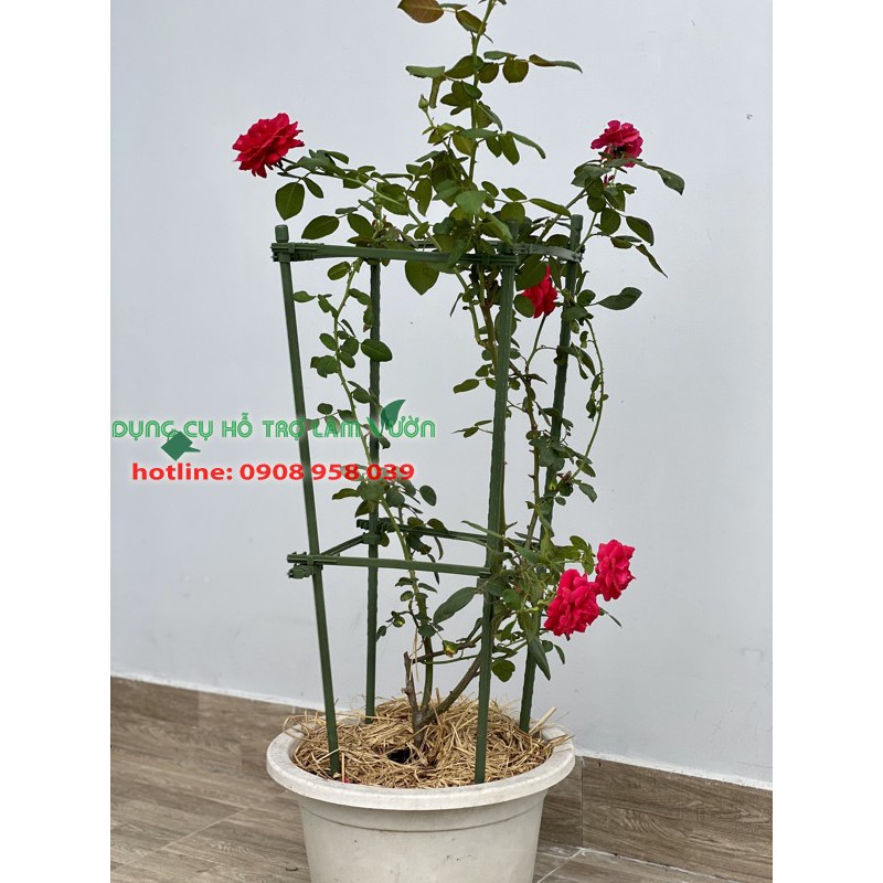 KHUNG VUÔNG CAO 120CM CẠNH 28CM