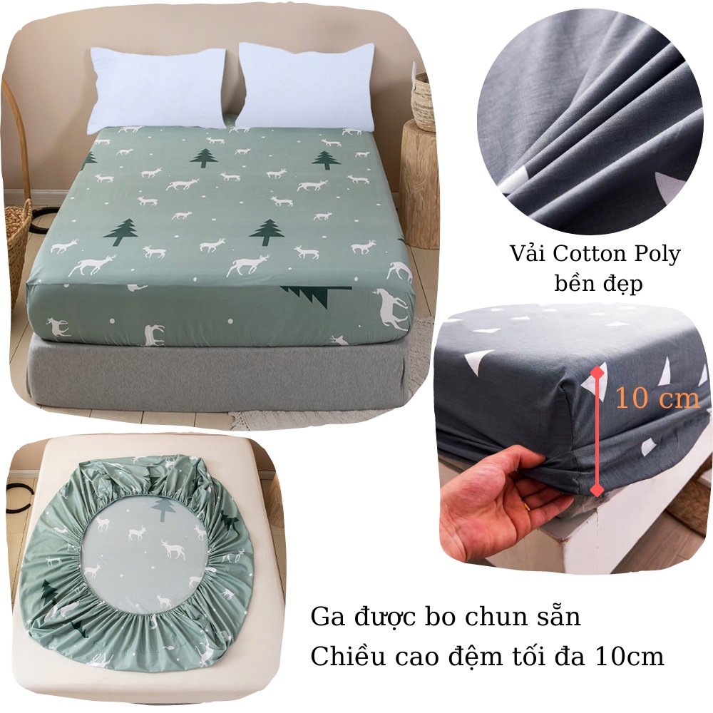 Bộ ga gối Poly cotton 4 mùa bền đẹp - Drap giường poly mẫu đẹp chọn lọc