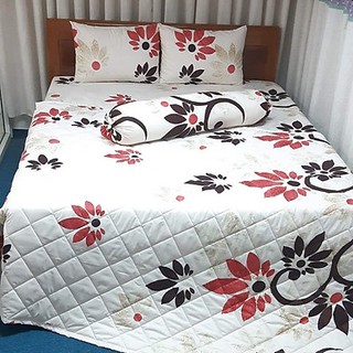 Bộ chăn ga gối cotton