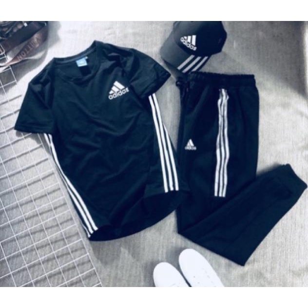 Album 124 - ÁO THUN CAO CẤP DAS SPORT VẠT BẦU 2 MÀU