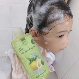 DẦU GỘI BƯỞI BẠC HÀ THH KÍCH MỌC TÓC