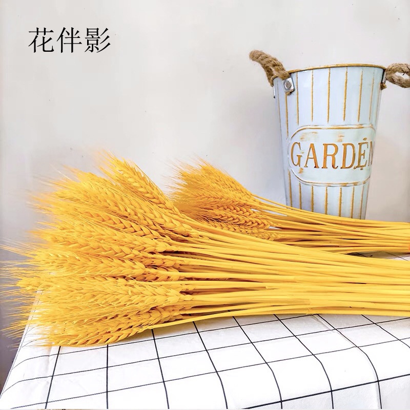 Hoa nhồi bông dễ thương đủ mẫu bán lẻ theo bông